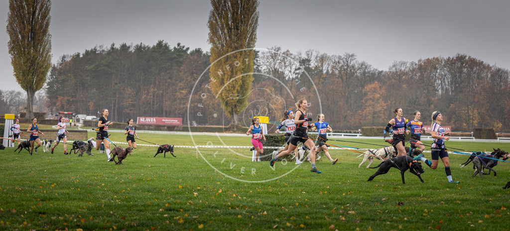 CaniXpix_DV3A8747 | Hundefotografie, Tierfotograf, Pfotenfotografie, Fotoshooting Hund, Hunde Portrait, Hundesport, Hundeportraits, Heideshooting, Hunde, Sportfotograf, Hundefotograf, Turnierhundsport, THS,  - Realisiert mit Pictrs.com