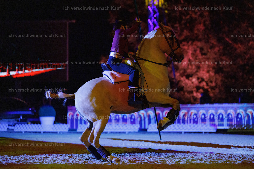 FHClassics-170 | working equitationturnier fotograf videograf stoibphotography marixx film working equitation deutschland reitsport turnierfotografie eventfotografie equestrian events