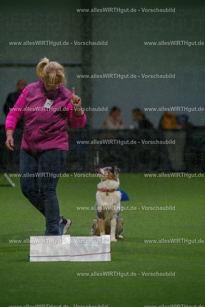 7R504136 | Professionelle Tierfotografie in Mönchengladbach von Daniel Wirth (allesWIRTHgut). Liebevolle & natürliche Bilder von Hunden & Katzen für unvergessliche Erinnerungen.