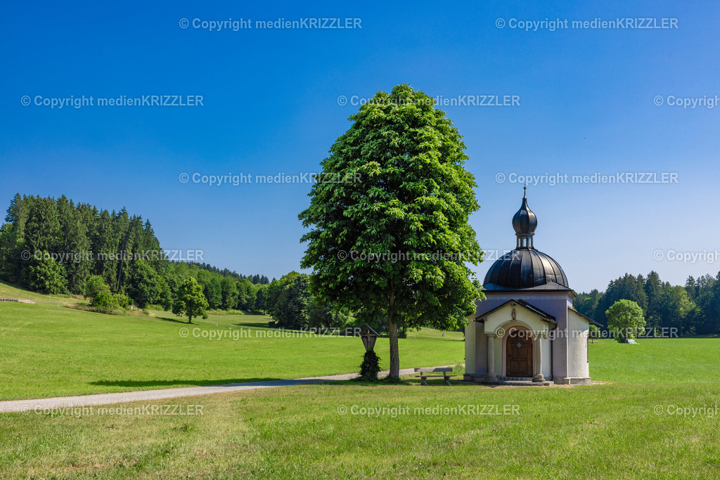 _J3A1373 | medienkrizzler - Realisiert mit Pictrs.com