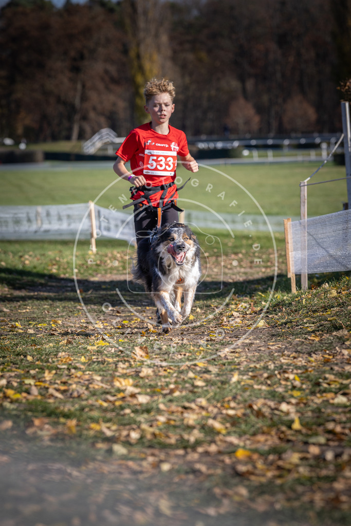CaniXpix_DV3A8271 | Hundefotografie, Tierfotograf, Pfotenfotografie, Fotoshooting Hund, Hunde Portrait, Hundesport, Hundeportraits, Heideshooting, Hunde, Sportfotograf, Hundefotograf, Turnierhundsport, THS,  - Realisiert mit Pictrs.com