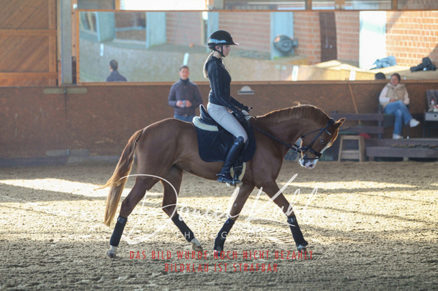 DKP42155 | Turniersportfotografie; Pferdefotografie; Dressurfotografie