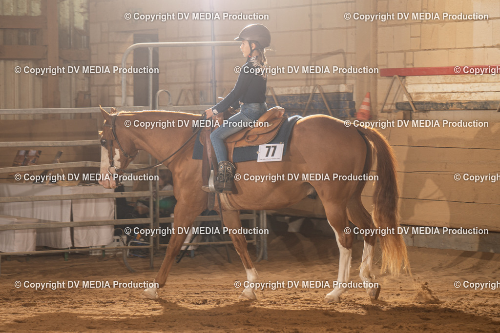 NID02807 | dv-media-shop - Realisiert mit Pictrs.com