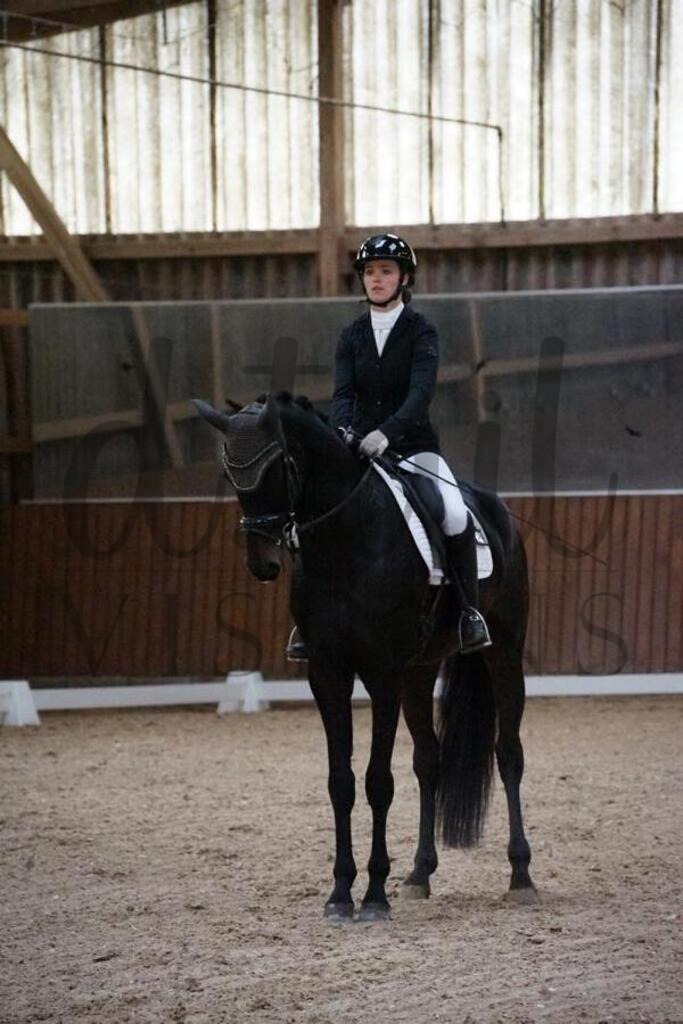 rsg berghof (126) | d.tail Visions - Shop - Realisiert mit Pictrs.com