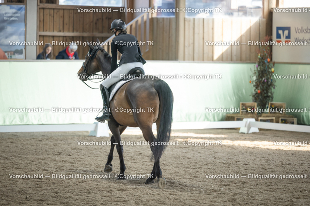 _D5A2960 | Emotionale Pferde- & People-Fotografie rund um Heidelberg, Leimen & Umgebung. Natürliche Fotos von Pferd, Mensch & Familie. Jetzt Termin sichern!