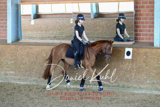 DKP42469 | Turniersportfotografie; Pferdefotografie; Dressurfotografie