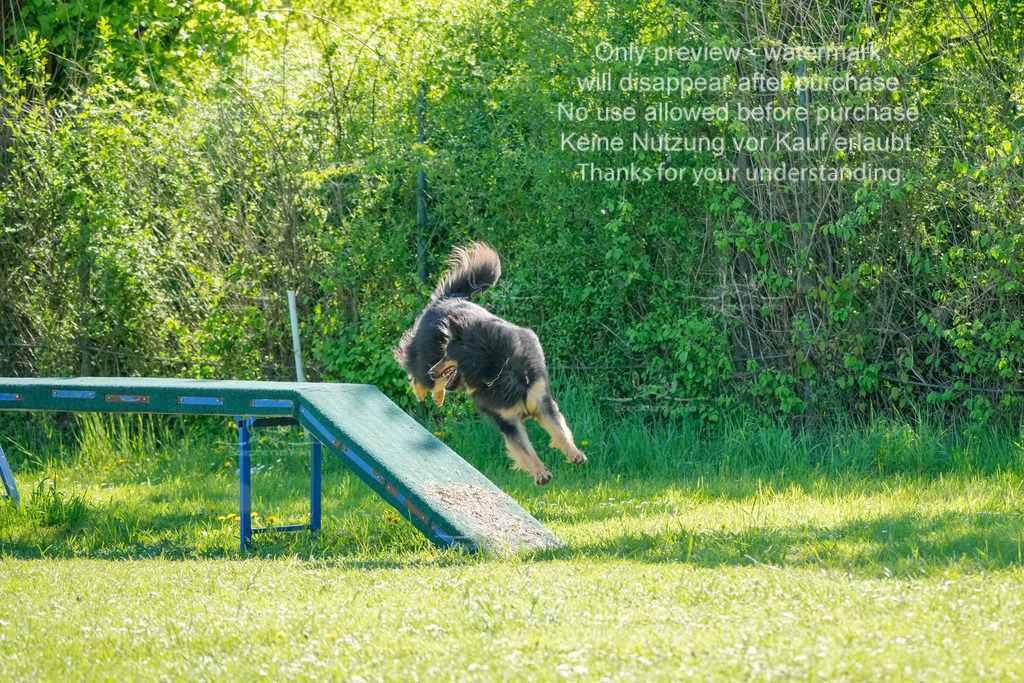 Sa_VK3_03-32 | stephaniefillaphotographie - Realisiert mit Pictrs.com