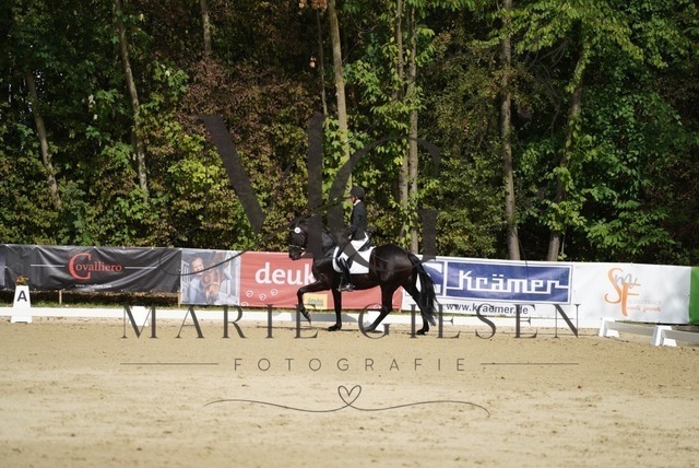 VAN00828 | Marie Giesen Fotografie - Realisiert mit Pictrs.com