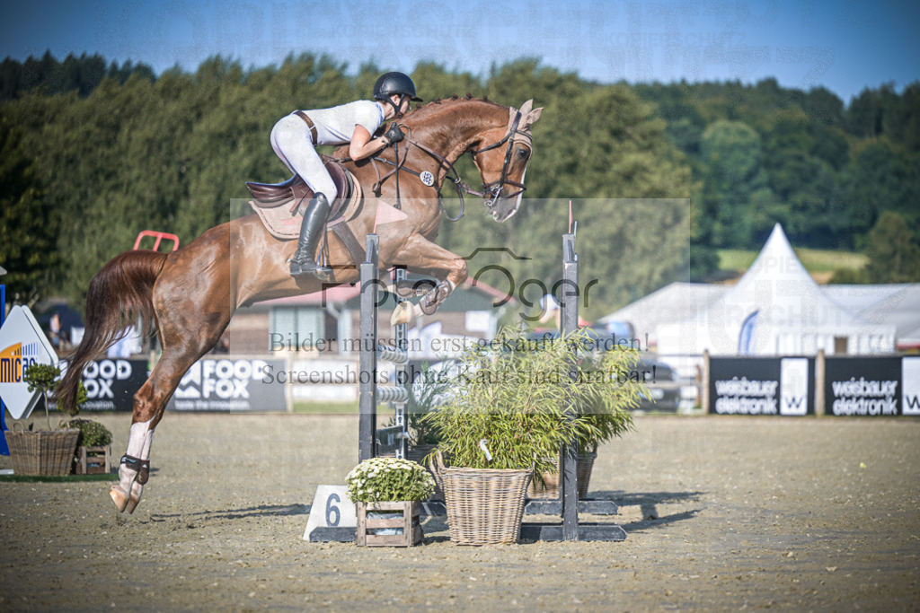 DOS_2062 | Entdecke hochwertige Reitturnierfotos von Foto Oger. Professionell, emotional und authentisch – jetzt Lieblingsmomente im Shop bestellen.Deutschlandweite Turnierfotografie. - Realisiert mit Pictrs.com