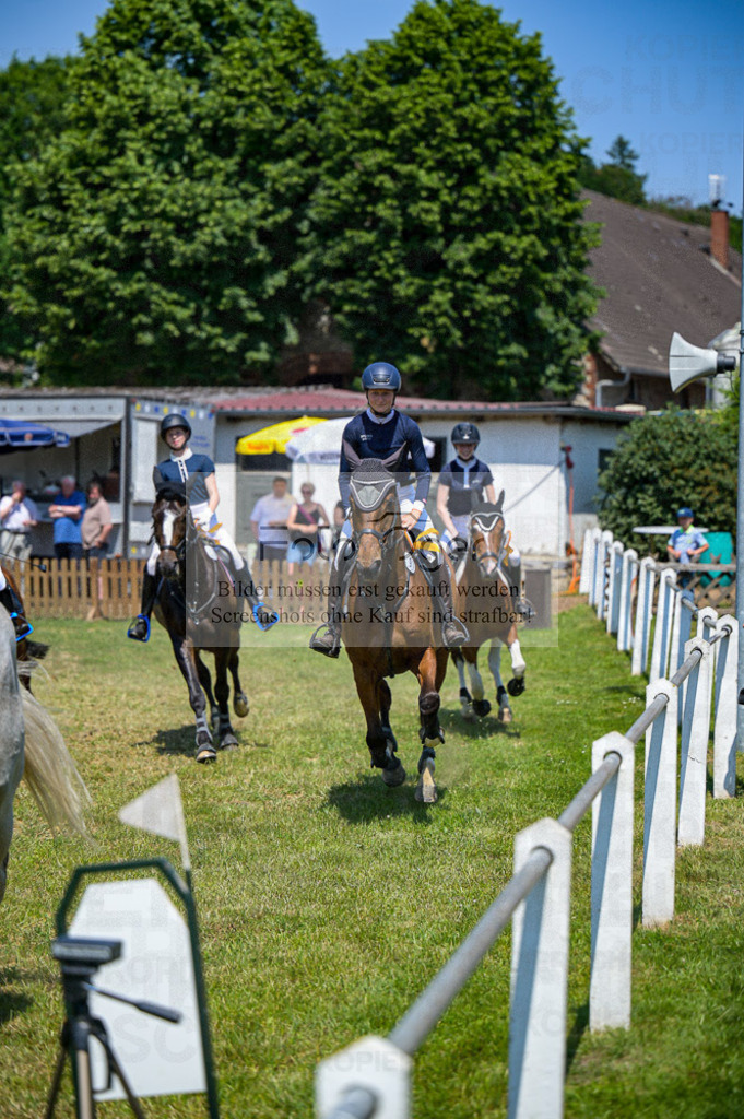 Reitturnier Voxtrup | Entdecke hochwertige Reitturnierfotos von Foto Oger. Professionell, emotional und authentisch – jetzt Lieblingsmomente im Shop bestellen.Deutschlandweite Turnierfotografie. - Realisiert mit Pictrs.com