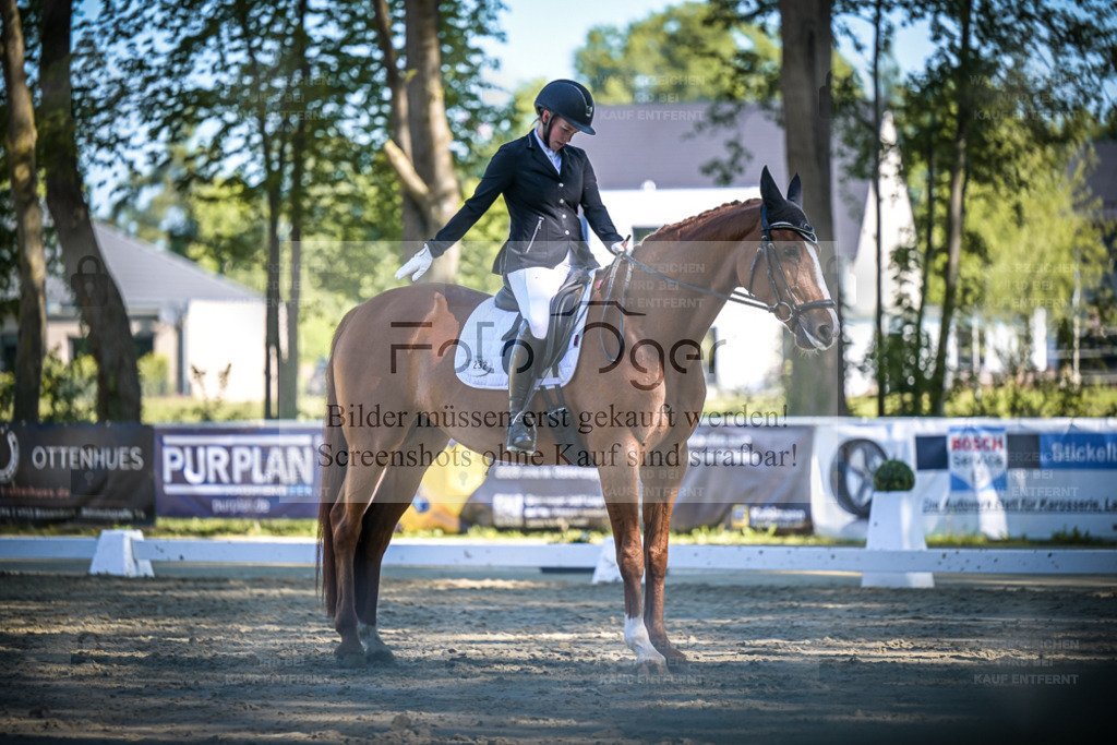 DOS_5889 | Entdecke hochwertige Reitturnierfotos von Foto Oger. Professionell, emotional und authentisch – jetzt Lieblingsmomente im Shop bestellen. - Realisiert mit Pictrs.com