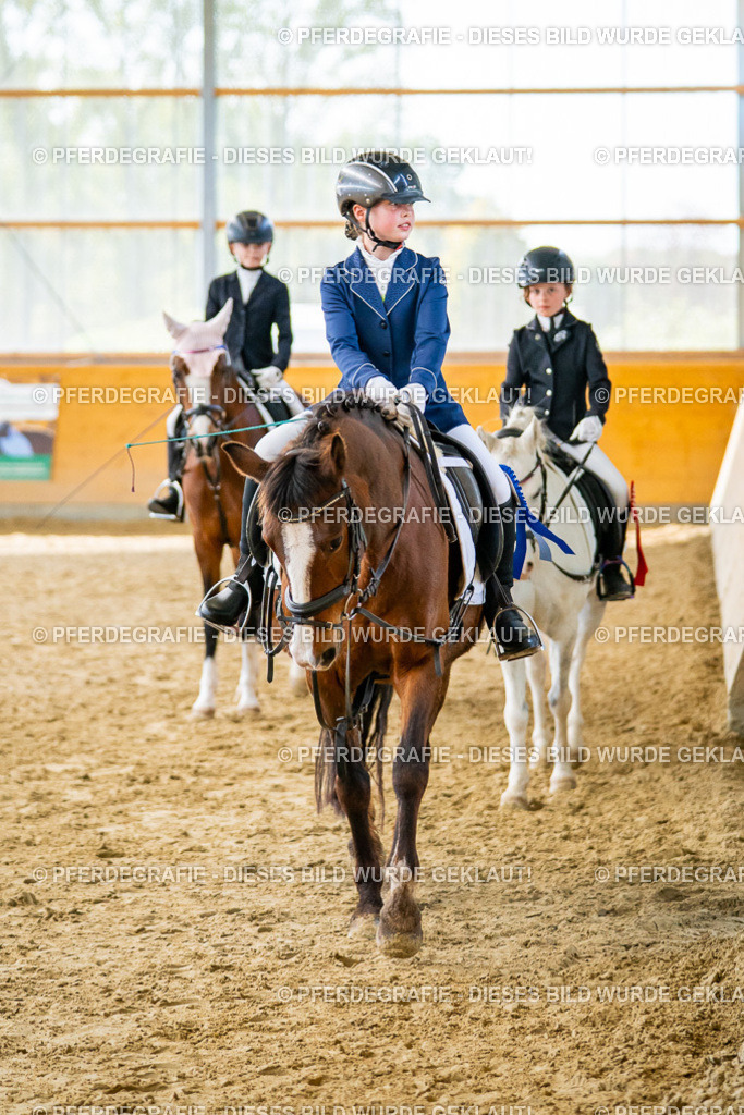 DSC01239 | Pferdegrafie