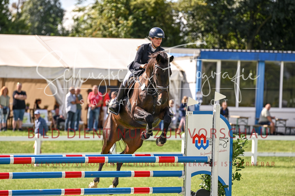 Schugtsche-Düren.2024-08.Amat.Springprf.L-75 | Schugtsche Fotografie - Realisiert mit Pictrs.com