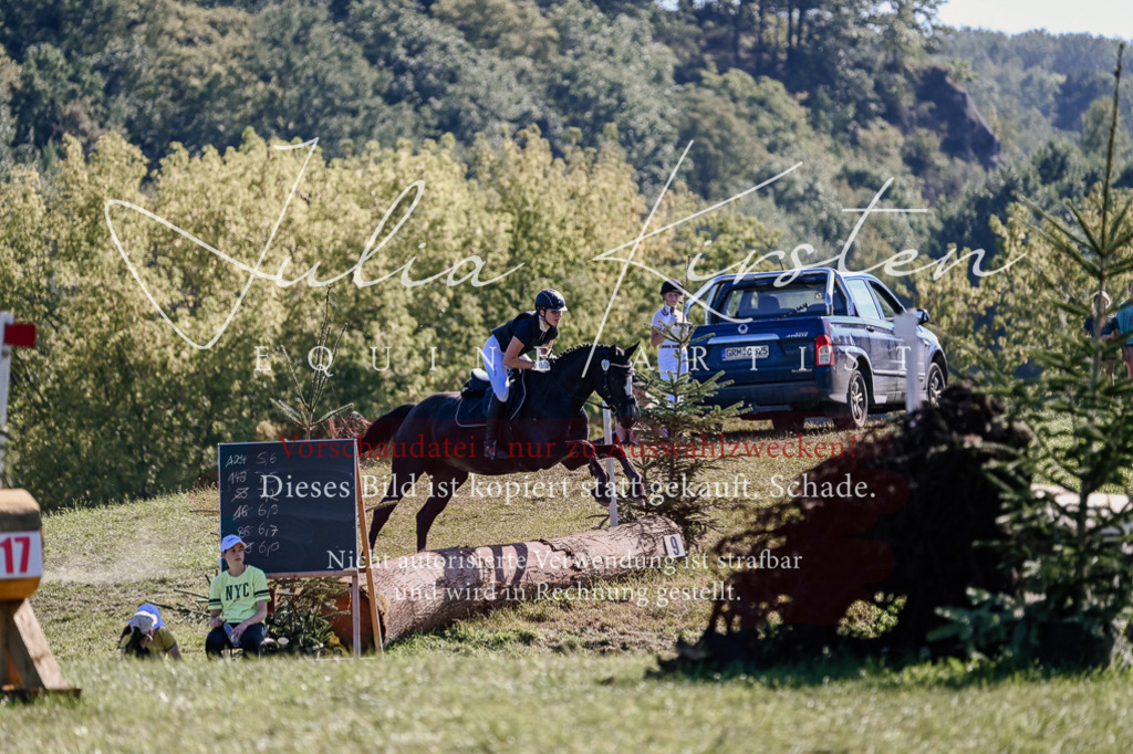 DSC_3541 | Pferde- und Turnierfotografie in Westsachsen. Pferdeportraits, Auftragszeichnungen und intuitive Kunst.