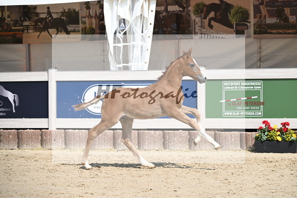 Arezzo Man x Zinedream_HF_Lohmiller_12250418 | hf-fotografie - Realisiert mit Pictrs.com