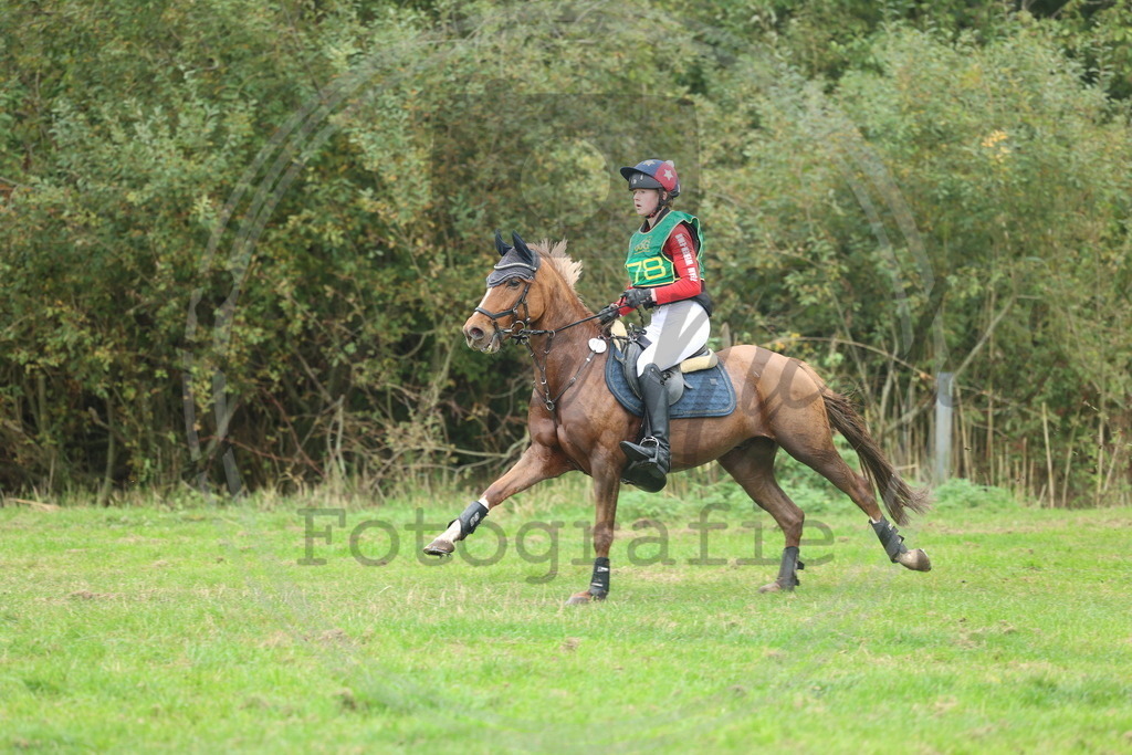 994A3313 | sabrinanicolaifotografie - Realisiert mit Pictrs.com