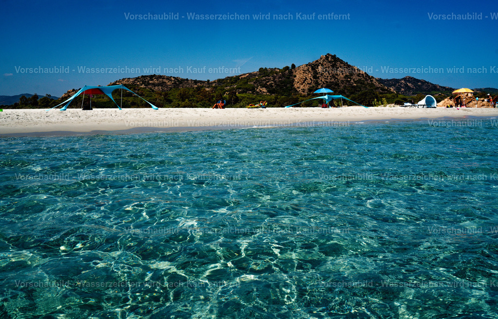 DSC04218 | marcuslinek