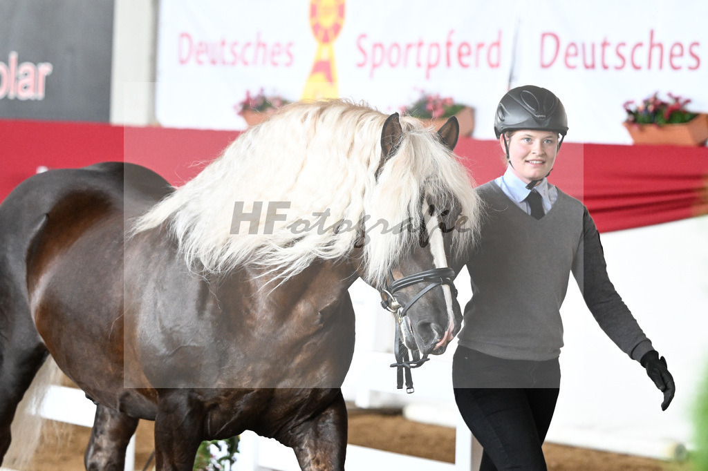 Impressionen_ Ehrungen_9240684 | hf-fotografie - Realisiert mit Pictrs.com