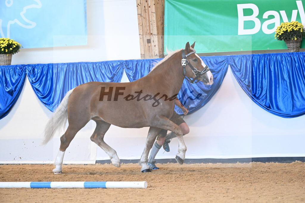 Kat-Nr. 73 Pueppi_Blindhammer_53220315 | hf-fotografie - Realisiert mit Pictrs.com