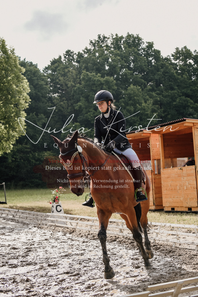 DSC_8462 | Pferde- und Turnierfotografie in Westsachsen. Pferdeportraits, Auftragszeichnungen und intuitive Kunst.
