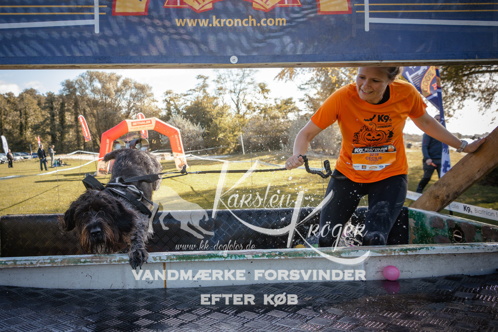 1219_ZZ95420 | kk-dogfotos