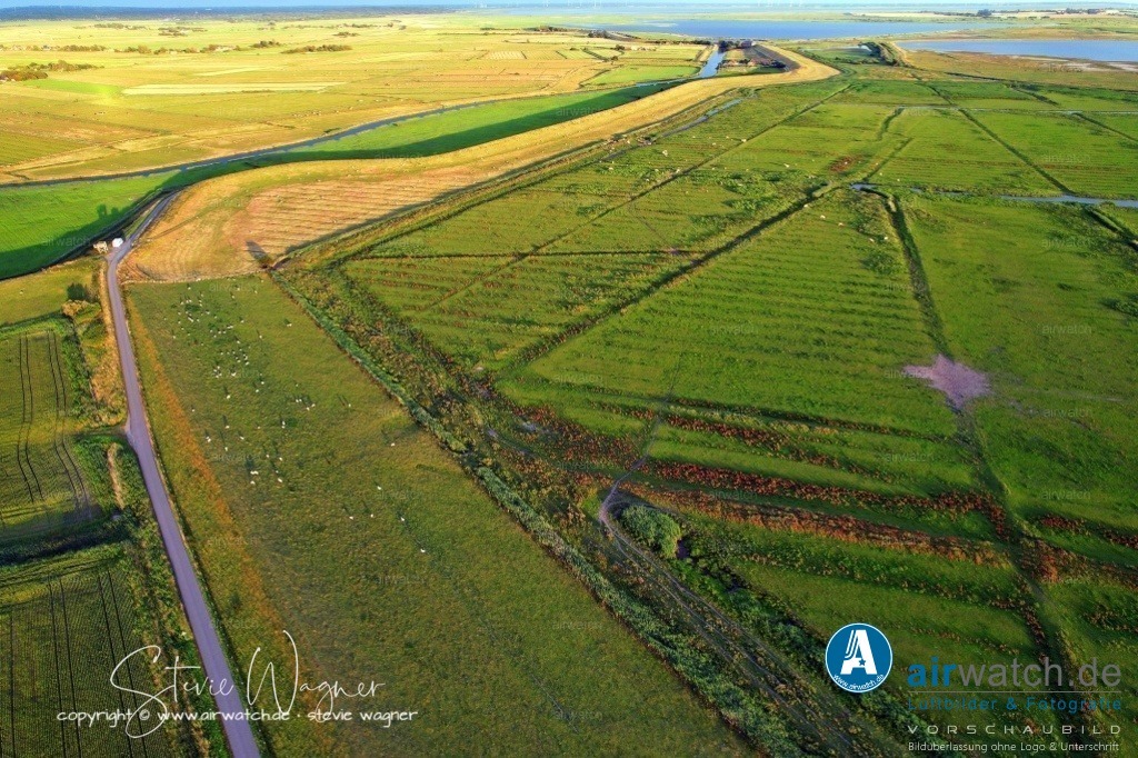 HattstedterKoog  & BeltringharderKoog | Entdecken Sie atemberaubende Luftbilder und Fotografien auf airwatch.de - Tauchen Sie ein in eine Welt voller faszinierender Aufnahmen aus der Vogelperspektive.