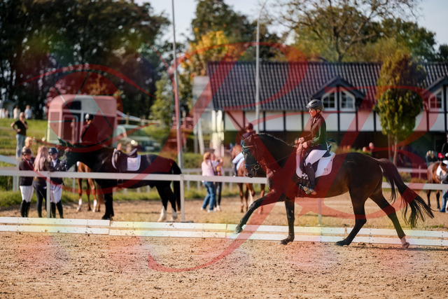 2026_10_03_Siefer-Hof_133658_Z63_98974071 | Professionelle Reitsport-, Turnier- und Eventfotografie von Robert Broda. Galerien mit ausgewählten und bearbeiteten Bildern direkt online ansehen und bestellen.