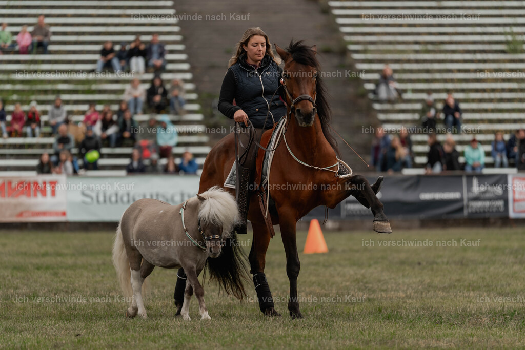Showprogramm-121 | working equitationturnier fotograf videograf stoibphotography marixx film working equitation deutschland reitsport turnierfotografie eventfotografie equestrian events