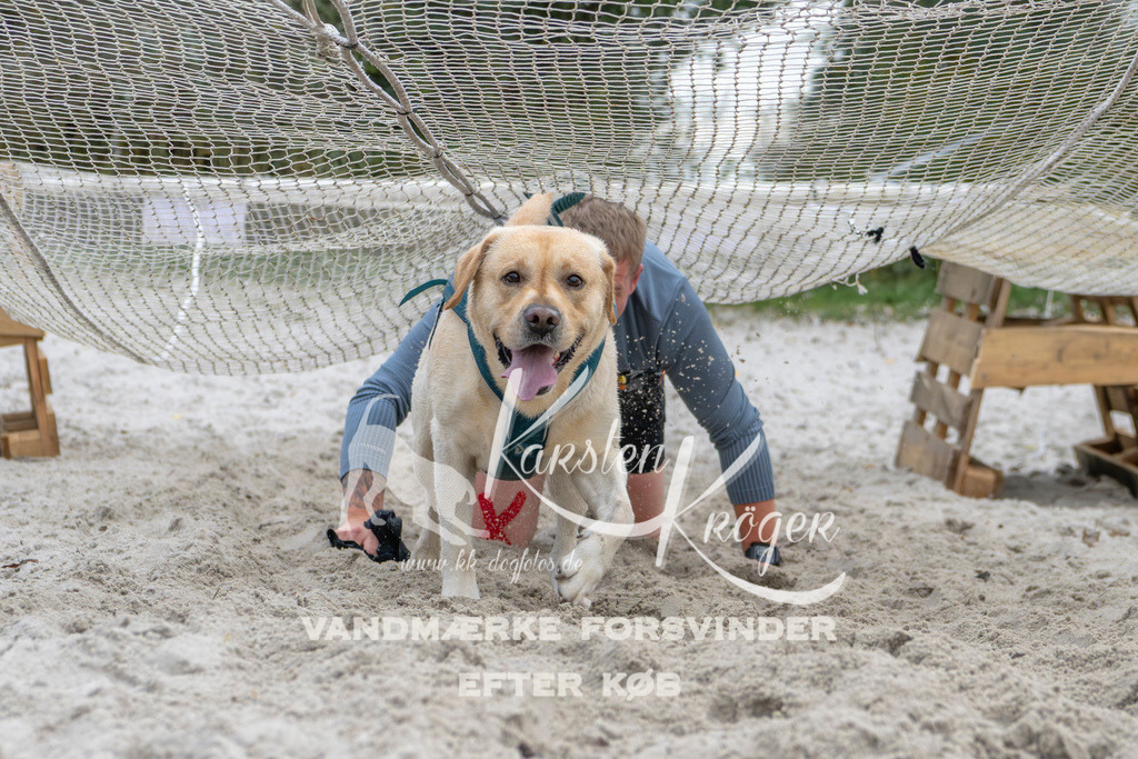 1116_ZZ95949 | kk-dogfotos