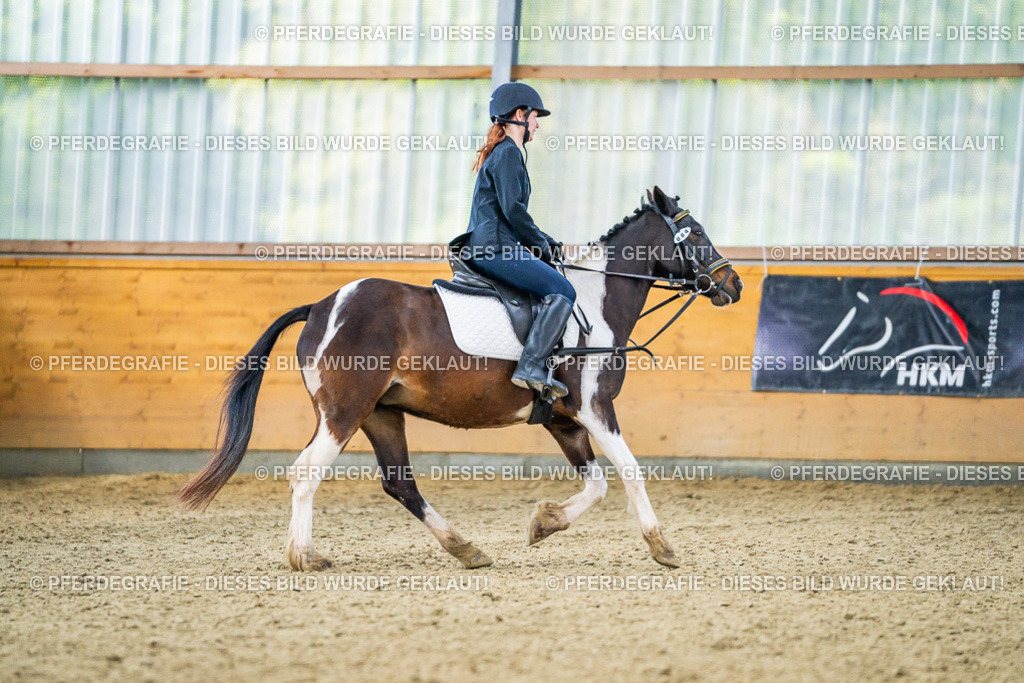 DSC03783 | Pferdegrafie