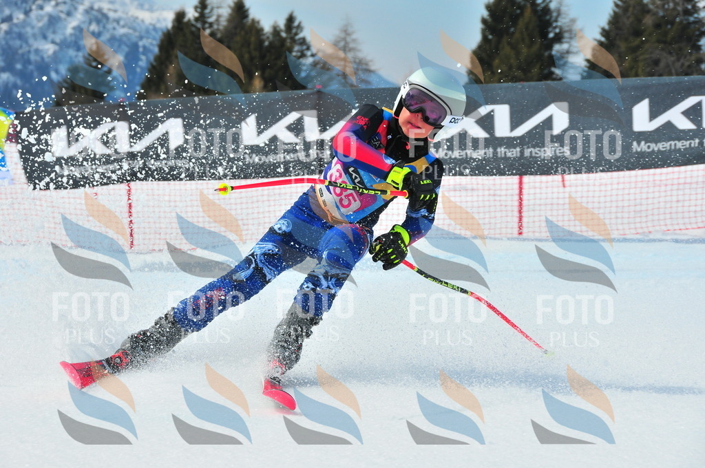 DSC_7261 | holidayphoto