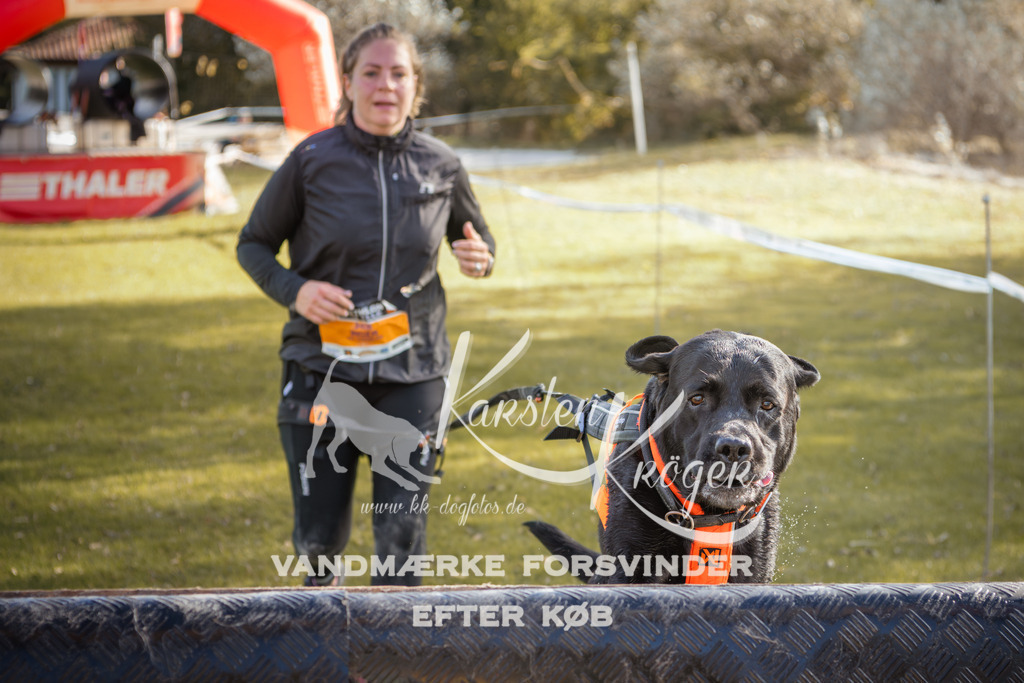 1317_ZZ99925-2 | kk-dogfotos