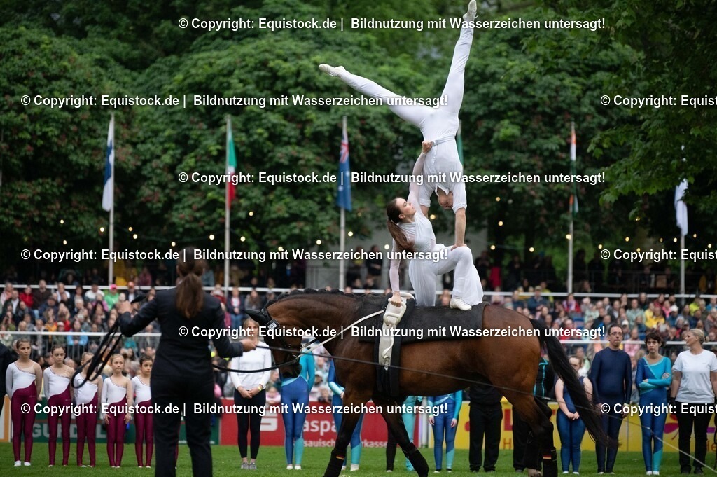 20240517_Lange-Pferdenacht_0383 | Foto: Thomas Hartig