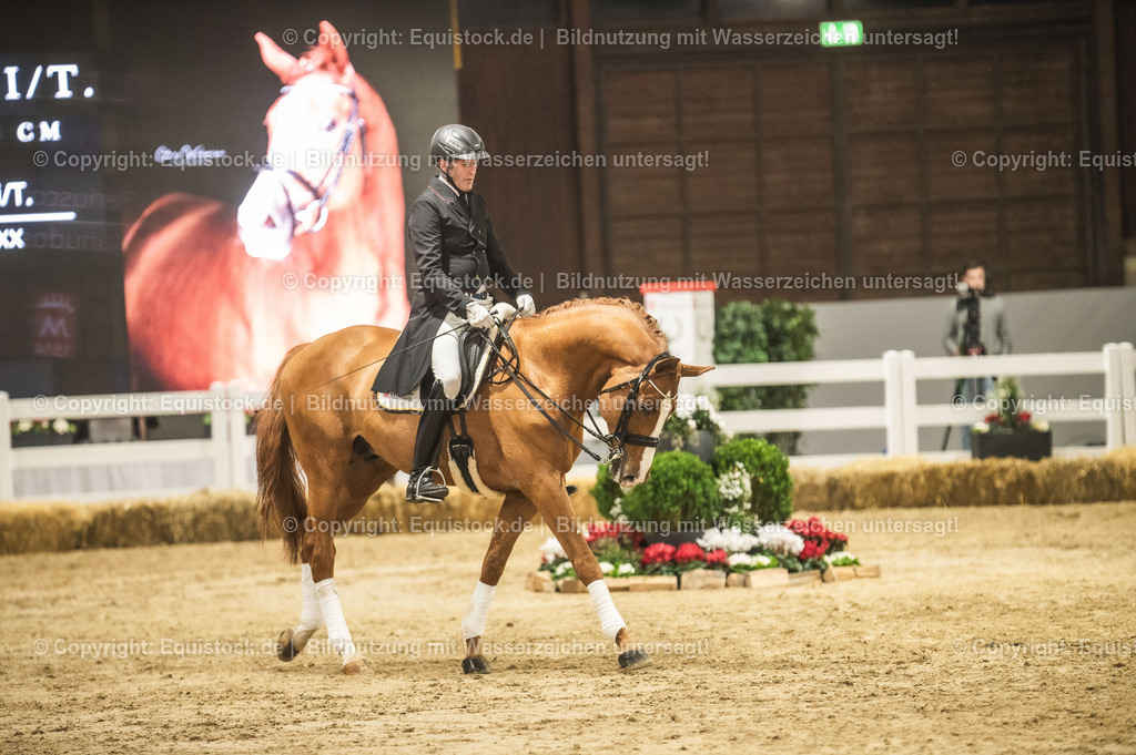 20240302_Hengstvorstellung_Marbach_TOMsPiC_0922 | equistock