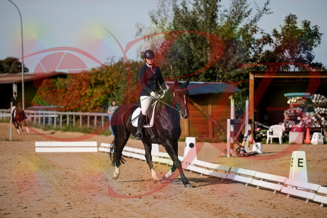 2026_10_03_Siefer-Hof_113340_Z63_20104266 | Professionelle Reitsport-, Turnier- und Eventfotografie von Robert Broda. Galerien mit ausgewählten und bearbeiteten Bildern direkt online ansehen und bestellen.