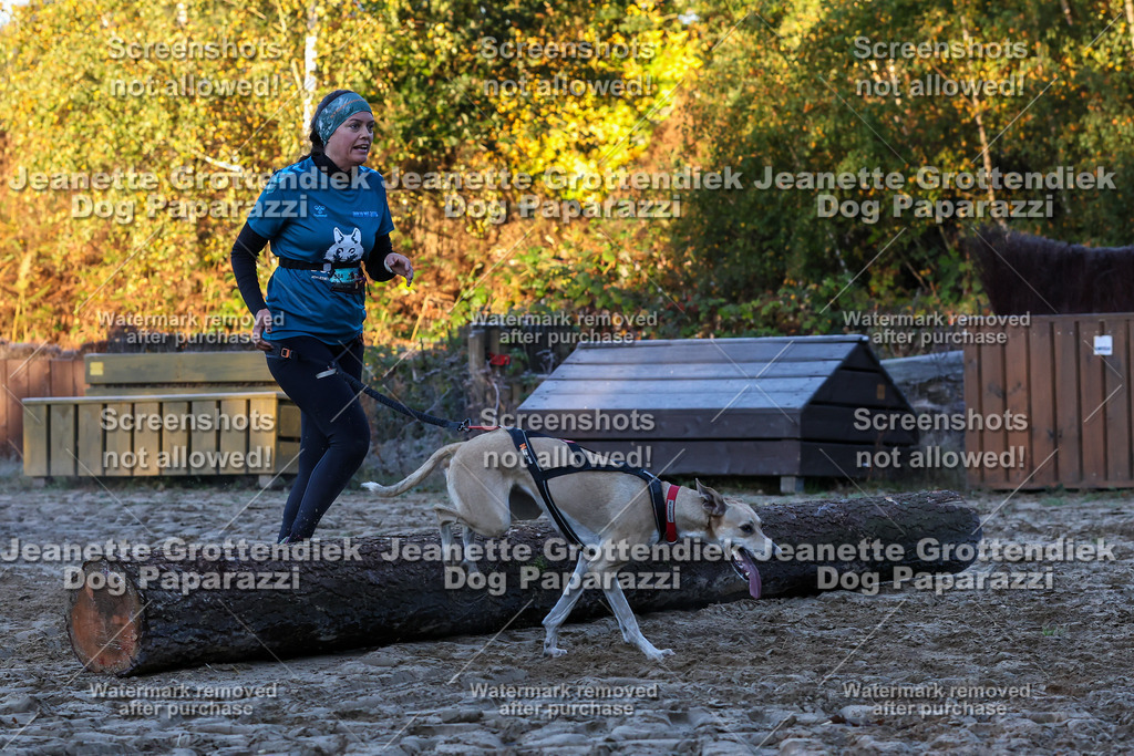 Dog Paparazzi - Strongdog 10-25-495 | Dog Paparazzi Jeanette Grottendiek Fotografie & Videografie - Realisiert mit Pictrs.com