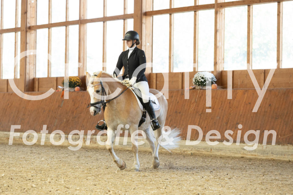 IMG_5402 | Creatify Fotografie