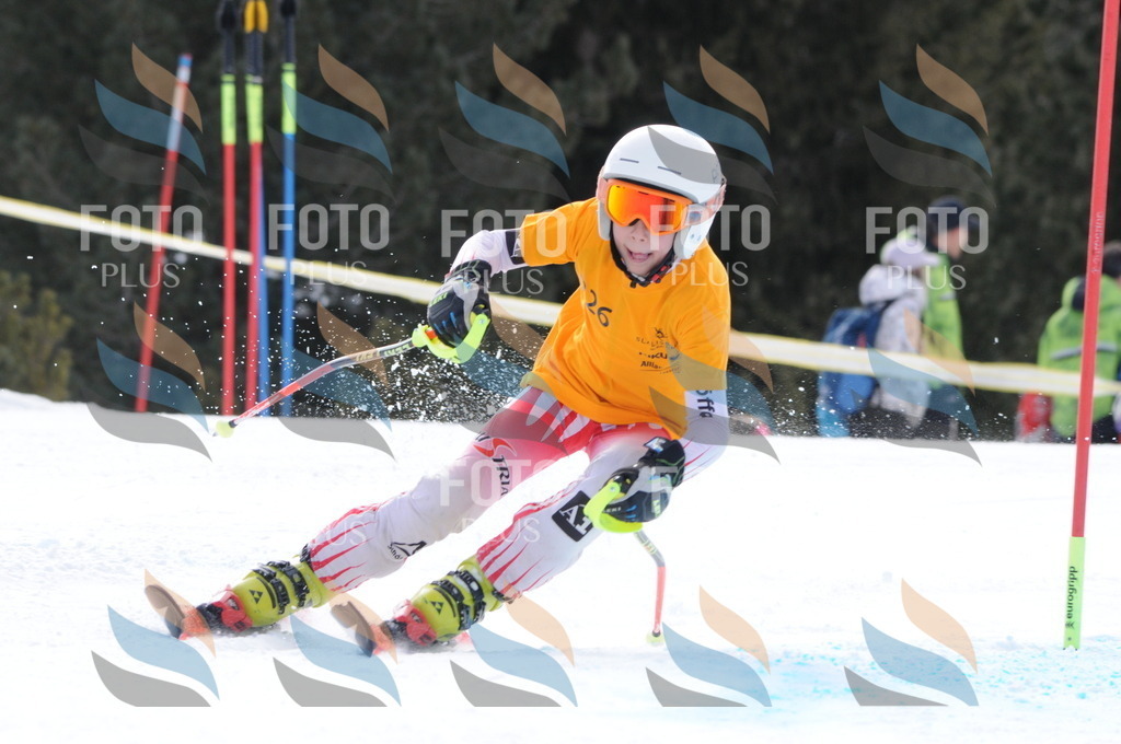 C7647 | holidayphoto