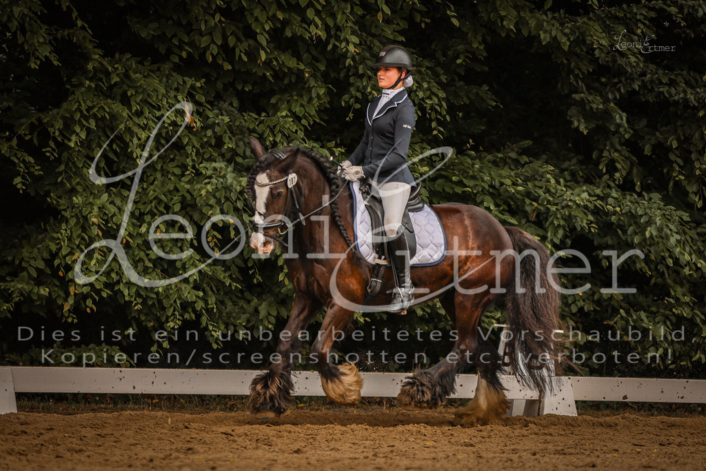 DoDrE00322 | Leoni Ertmer Photography - Realisiert mit Pictrs.com