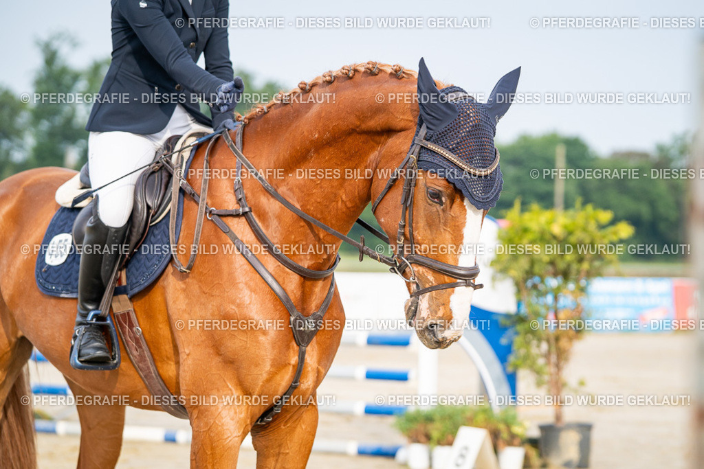 DSC07775 | Pferdegrafie