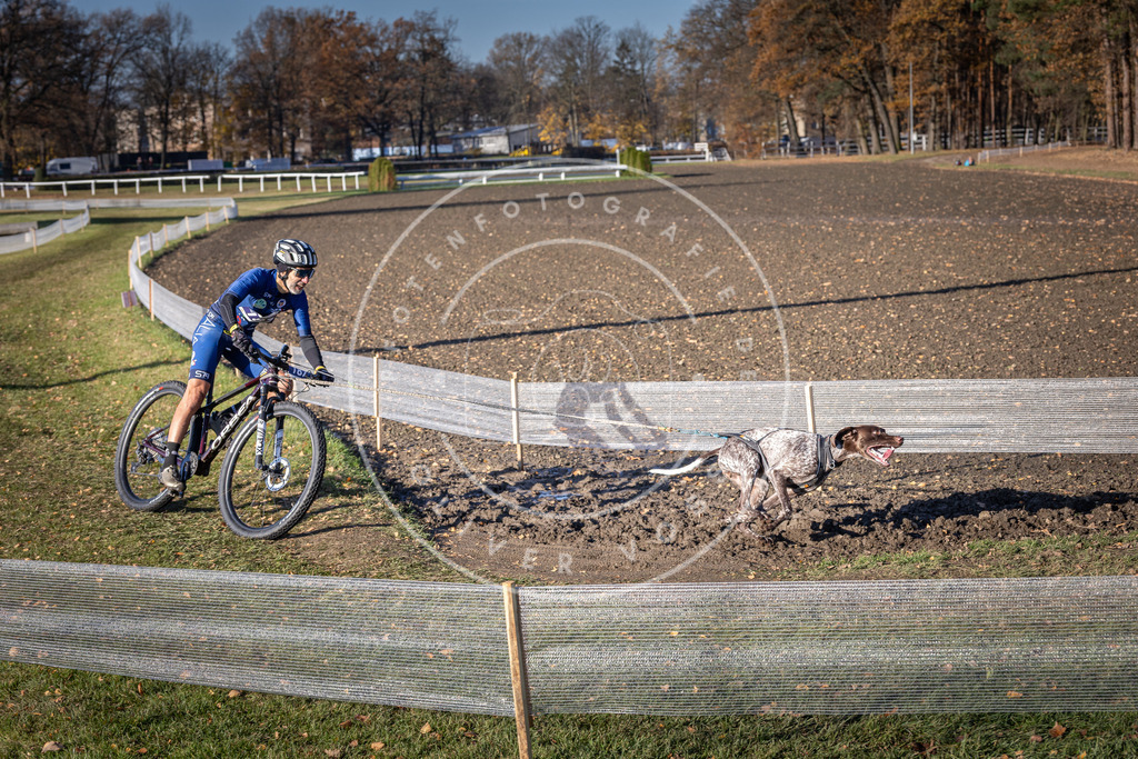CaniXpix_DV3A2348 | Hundefotografie, Tierfotograf, Pfotenfotografie, Fotoshooting Hund, Hunde Portrait, Hundesport, Hundeportraits, Heideshooting, Hunde, Sportfotograf, Hundefotograf, Turnierhundsport, THS,  - Realisiert mit Pictrs.com