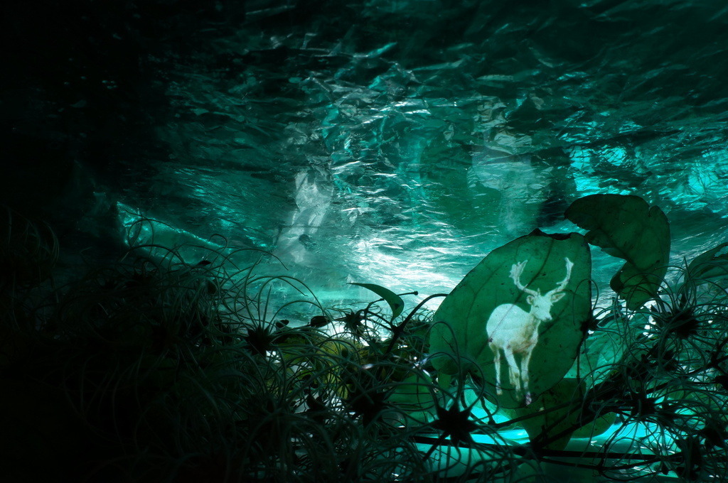 Hirsch | cornelia-geissler - Realisiert mit Pictrs.com