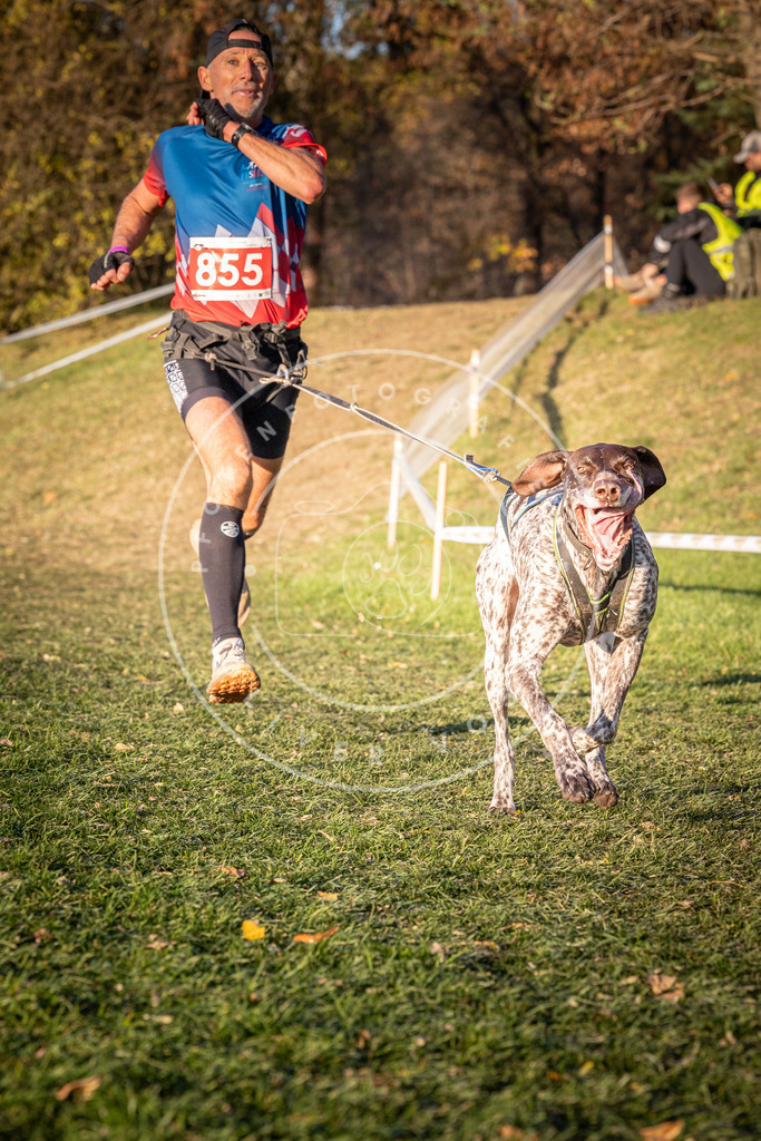 CaniXpix_0L8A0856 | Hundefotografie, Tierfotograf, Pfotenfotografie, Fotoshooting Hund, Hunde Portrait, Hundesport, Hundeportraits, Heideshooting, Hunde, Sportfotograf, Hundefotograf, Turnierhundsport, THS,  - Realisiert mit Pictrs.com