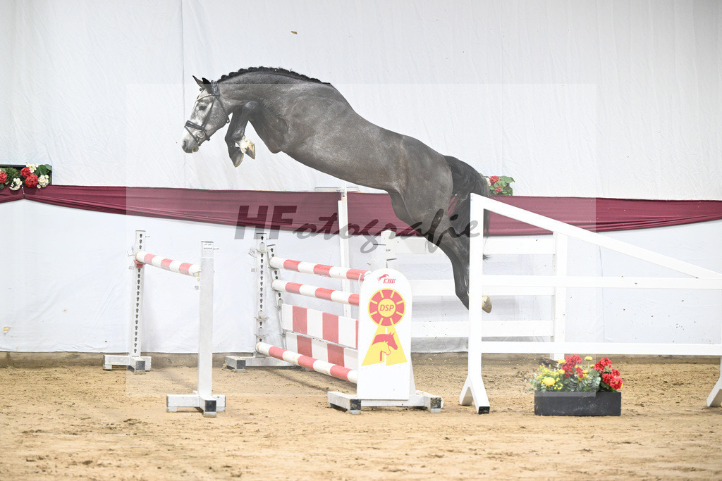 Kat-Nr. 72 Chacoon Blue x Contagio_Matthias Schlamminger GmbH_47252944 | hf-fotografie - Realisiert mit Pictrs.com