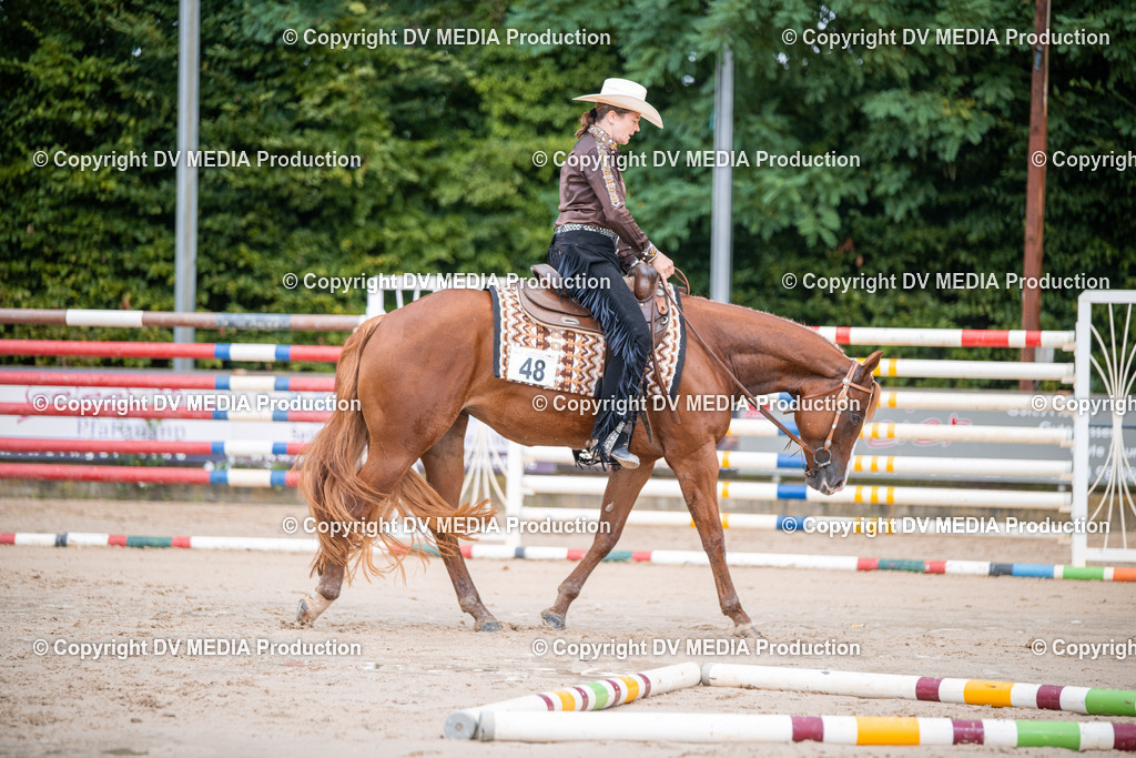 ZS2_4008 | dv-media-shop - Realisiert mit Pictrs.com