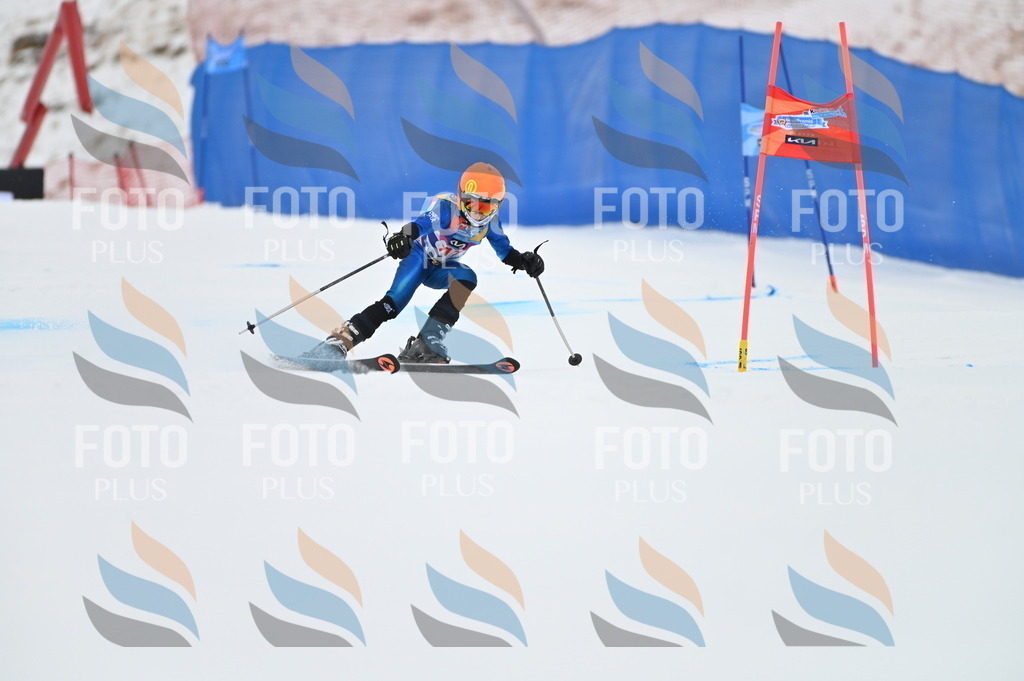 BGV_9678 | holidayphoto