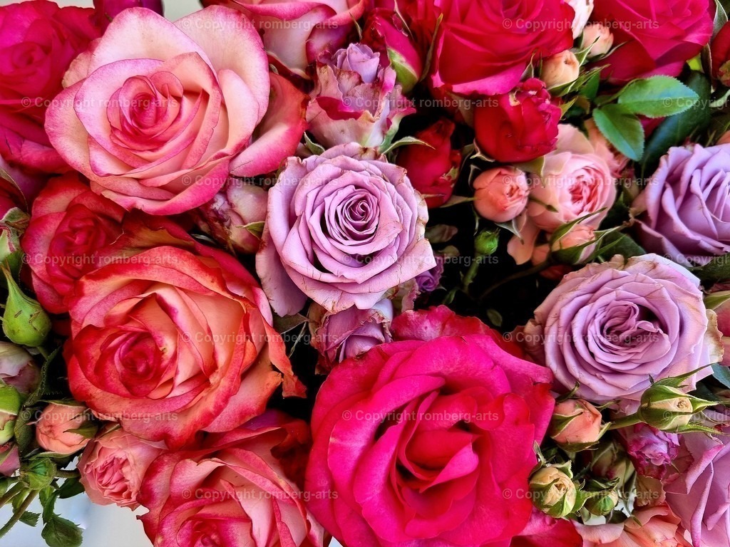 Roses5 | Rosenstrauß, bunter Blumenstrauß, Rosen