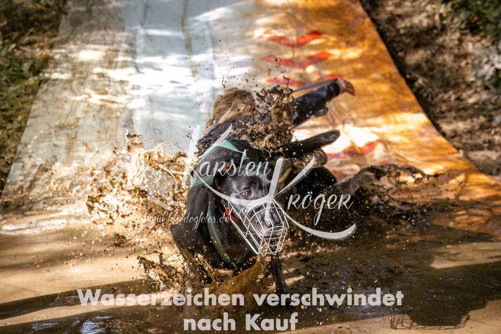 1351_ZZ92975 | kk-dogfotos