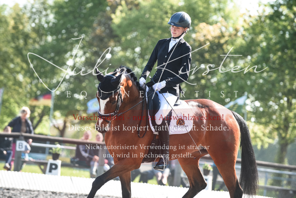 DSC_8672 | Pferde- und Turnierfotografie in Westsachsen. Pferdeportraits, Auftragszeichnungen und intuitive Kunst.