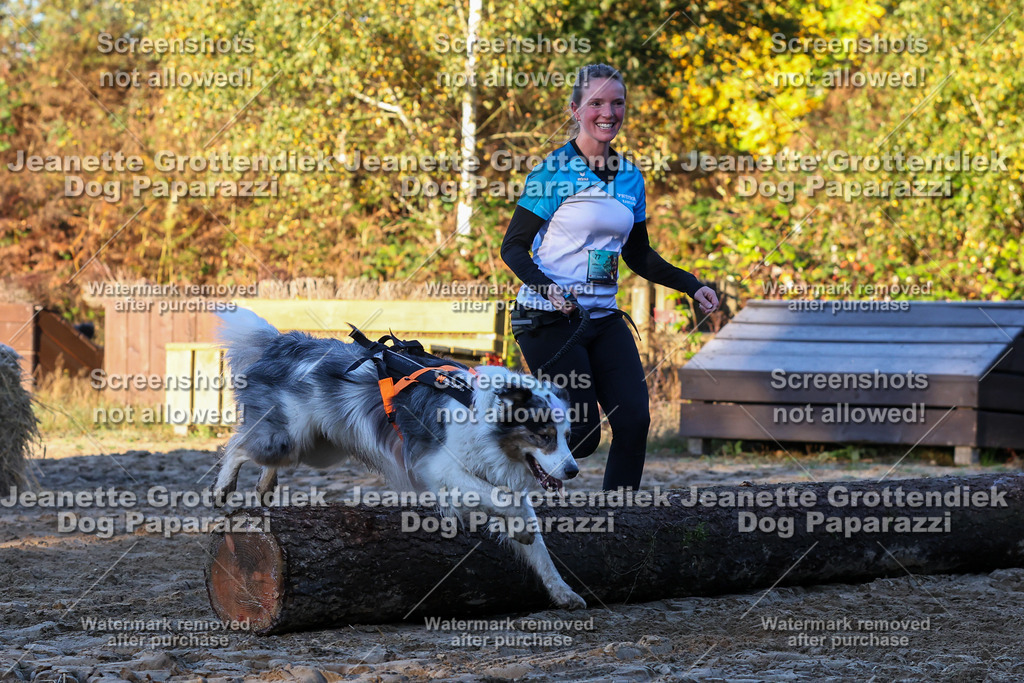 Dog Paparazzi - Strongdog 10-25-691 | Dog Paparazzi Jeanette Grottendiek Fotografie & Videografie - Realisiert mit Pictrs.com